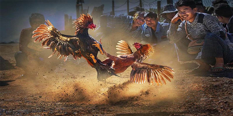 13win12 chơi bắn cá đổi thưởng