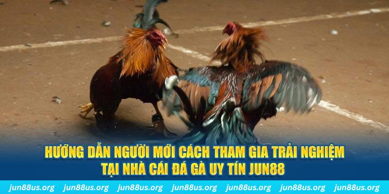 13win12 CQ9 Điện Tử