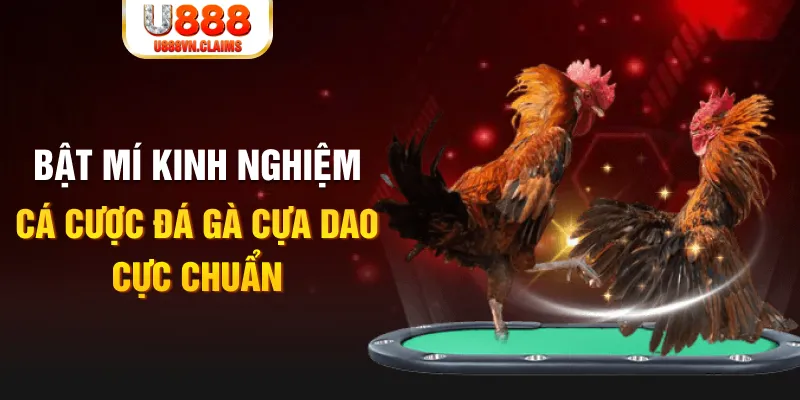 13win12 tỷ lệ cá cược châu á là gì