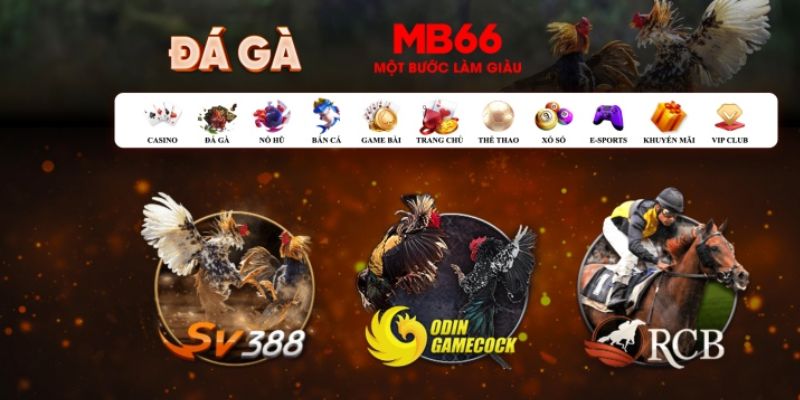 13win12 đăng nhập poker số 1