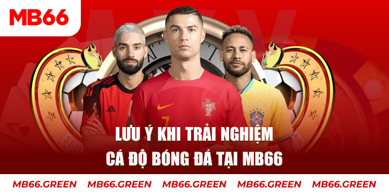 13win12 cá cược là gì