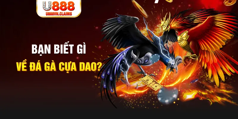13win12 nổ hủ là gì
