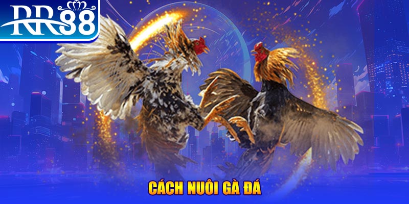 13win12 xổ số an giang
