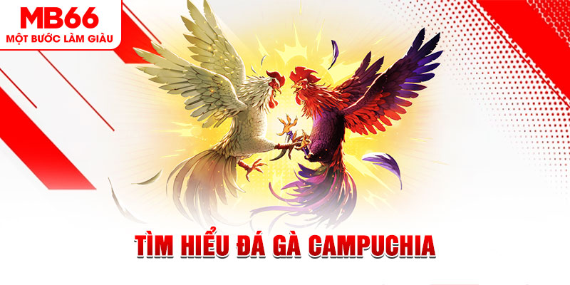 13win12 game đánh bài trên máy tính