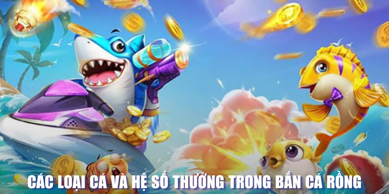 13win12 đăng nhập sòng bạc mới nhất