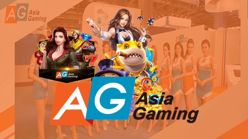 13win12 what is a mobile casino