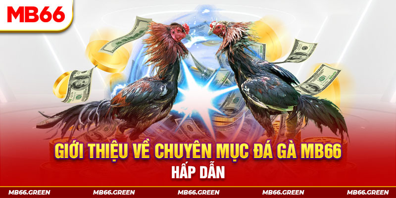 13win12 đăng nhập sòng bạc đổi thưởng