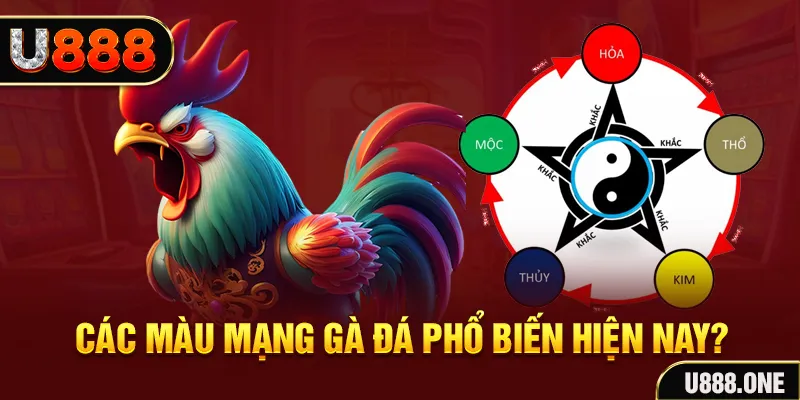 13win12 trực tiếp đá gà 88