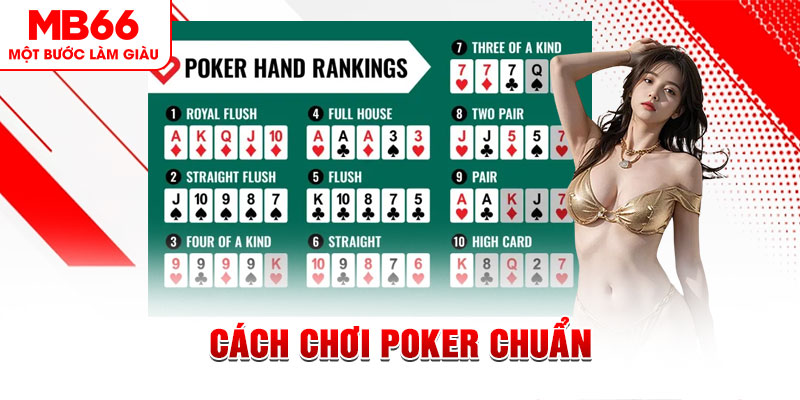 13win12 đá gà 88.com