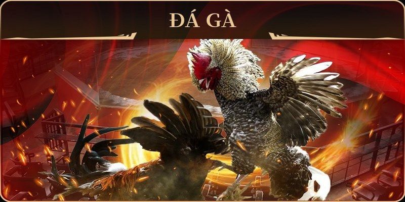 13win12 xổ số miền nam thứ hai