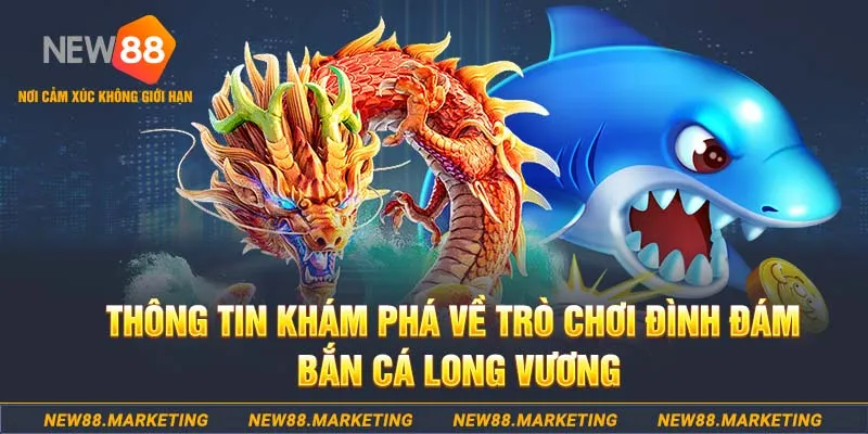 13win12 baccarat lừa đảo như thế nào