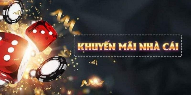 13win12 what is live dealer casino