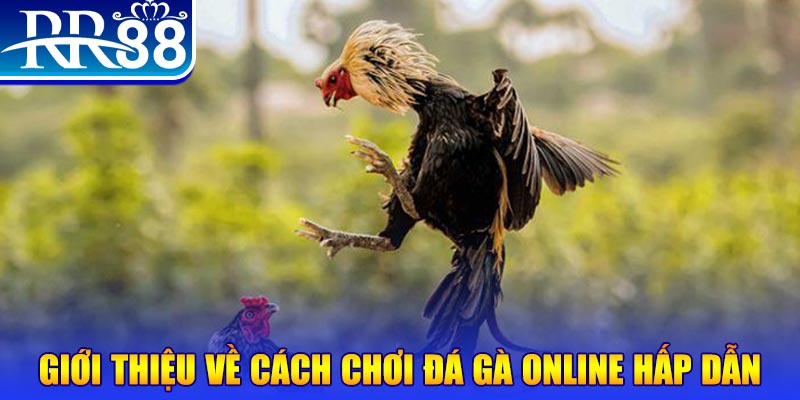 13win12 game nổ hũ rút tiền mặt là gì
