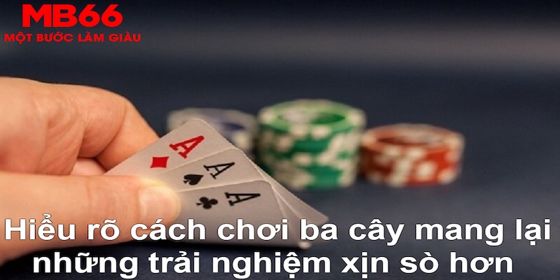 13win12 xổ số đài bắc