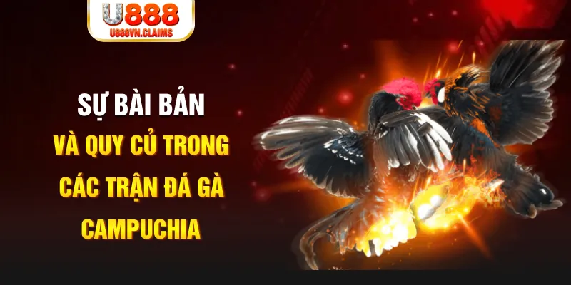 13win12 YGR Điện Tử