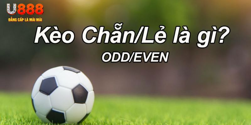 13win12 đăng nhập poker hôm nay