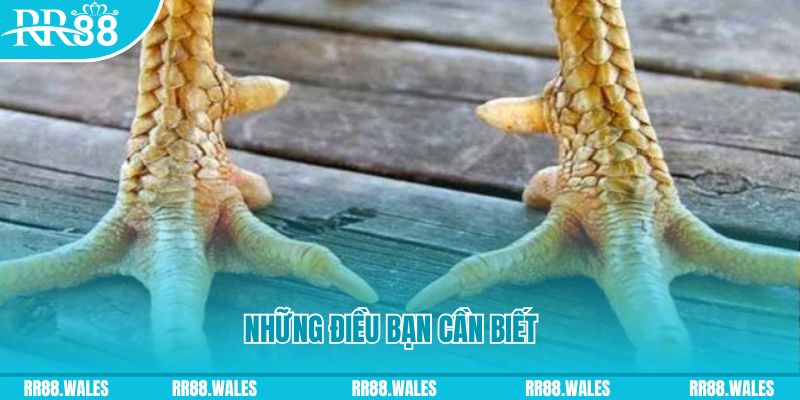 what is a casino loyalty program