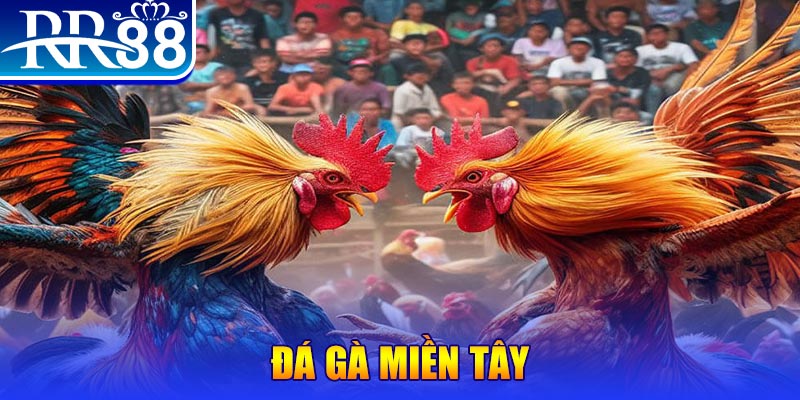 13win12 chơi slot là gì