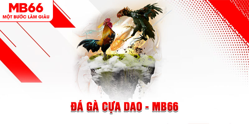 13win12 đá gà sv388 gold