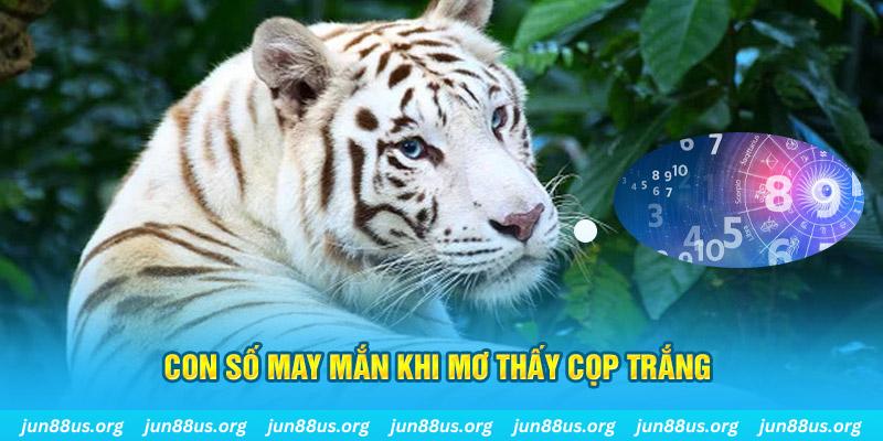13win12 đá gà trực tiếp 88